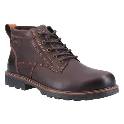 (Brown, (Adults')) Cotswold Falfield Leather Men's Brown Boots