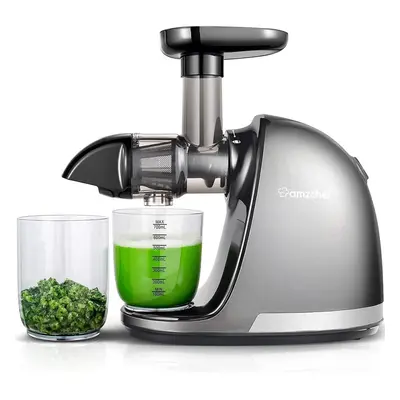 AMZCHEF Juicer Machines - Cold Press Slow Juicer - Masticating Juicer for Whole Fruits and Veget