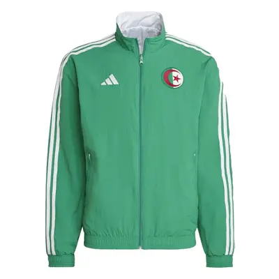 (XL) Algeria Anthem Jacket (Green)