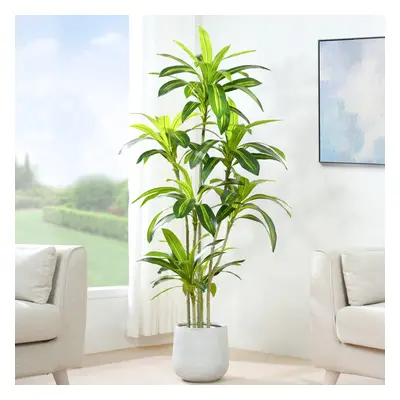 (150CM) Artificial Agave Tree with Plastic Planter & Moss