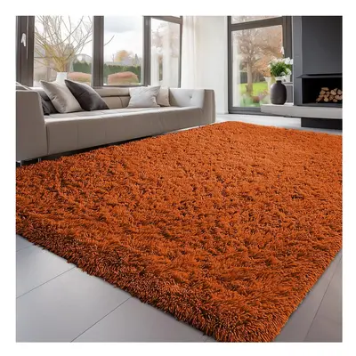 (Orange, 200x290 cm) Elegant Affordable Shaggy Area Rug Non Skid Livingroom Rugs