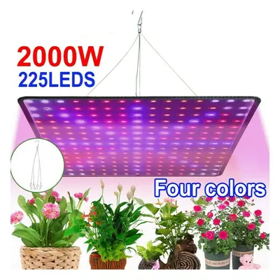 2000W LED Grow Light Hydroponic Full Spectrum Indoor Veg Plant Lamp