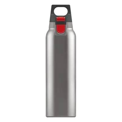 (Brushed, 0.5 L) Thermo Flask - Hot & Cold ONE Insulated Water Bottle - With Tea Filter - Leakpr