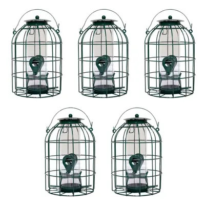 Pack of Wild Bird Seed Feeder Cage with Squirrel Guard