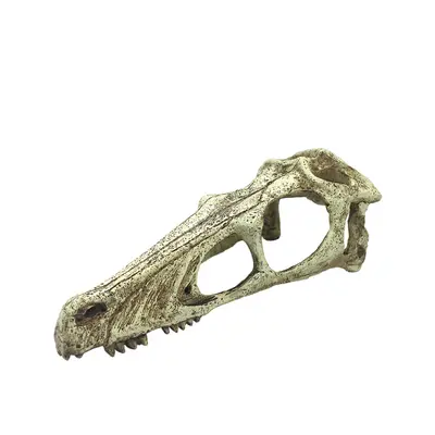 Komodo Reptile Terrarium Realistic Skulls Ornament Decor | Easy to Cle