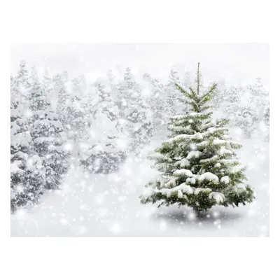 4.1x2.6ft 7x5ft Christmas Snow Scene Photography Backdrop 3D Printed Vinyl Photo Studio Backgrou