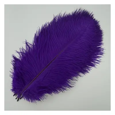 (purple, 55-60cm 22-24inch) 10pcs /lot New Colored Ostrich Feathers For Crafts White Black Feath