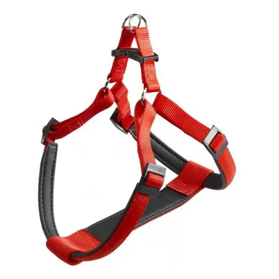 dog harness Daytona to cm nylon red