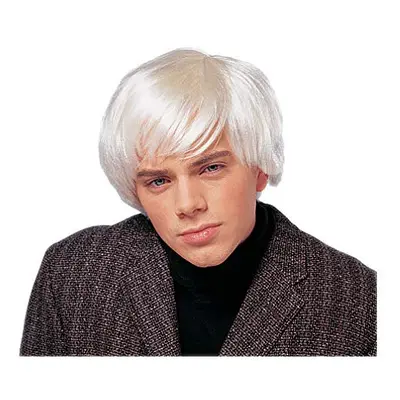 Costume Culture Men's Artist Wig, Platinum, One Size