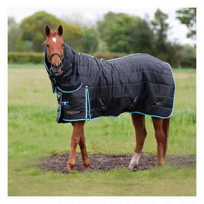 (Black/Sky Blue, 6ft 9) Gallop Equestrian Trojan Maverick Stable Combo