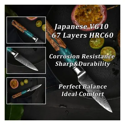 3.2&apos;&apos; Paring Knife Damascus Steel Kitchen Knife Fruit Peeler Knives Slicing Vegetable 