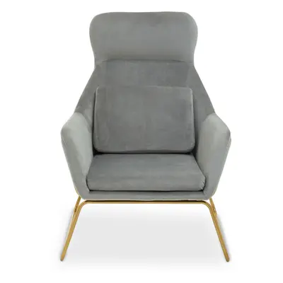 Grey Velvet Armchair, Easy Care Velvet Accent Armchair, Indoor Dining with Velvet Bedroom chair