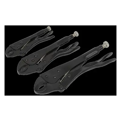 Locking Pliers Set 3pc Rust Resistant