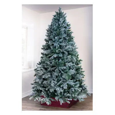 (8ft - branch tips) Christmas Tree World | Arbor Blue Pine (6ft to 8ft)