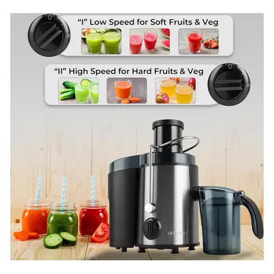 Juice Extractor Whole Fruit & Vegetable Juicer Sturdy Housing 500W