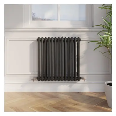 Traditional Colosseum Horizontal Double Bar Column Radiator 600x605mm Black