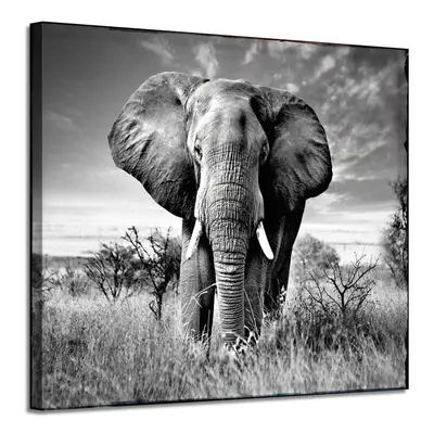 ARTISTIC PATH Canvas Wall Art Elephant Picture: African Animals Graphic Artwork Painting Print f