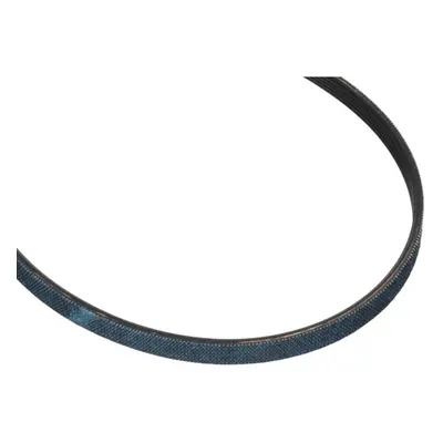 Electrolux Belt H Poly V Rib