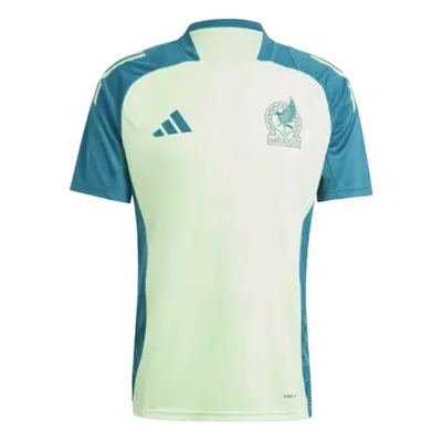 (XL) Mexico Training Jersey (Green)