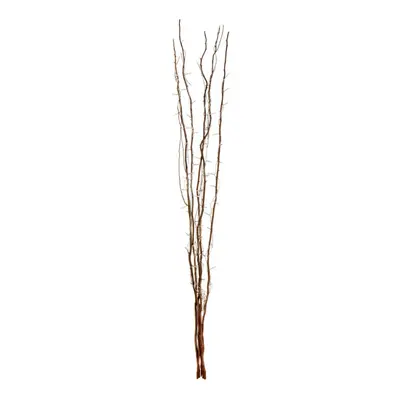 Premier Housewares Natural Lights Colour Twigs with EU Plug