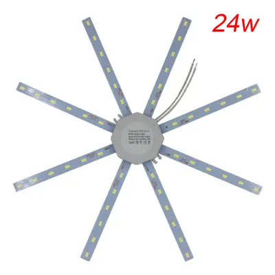 (24W, Warm Light) LED Ceiling Lamp Octopus Indoor Light Board Energy Saving 220V 12W 16W 20W