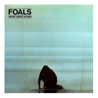 Foals - What Went Down [VINYL]