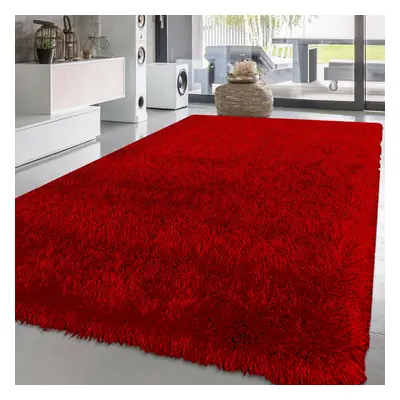 (Red, x cm) New Modern Non slip Fluffy Thick Shaggy Natty Rug