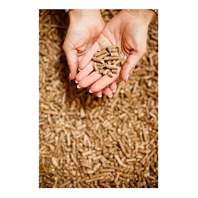 2 x 30L Wood Pellets Cat Litter, Ultra Absorbent, Biodegradable, Cat and Kitten, Superb Odour Co