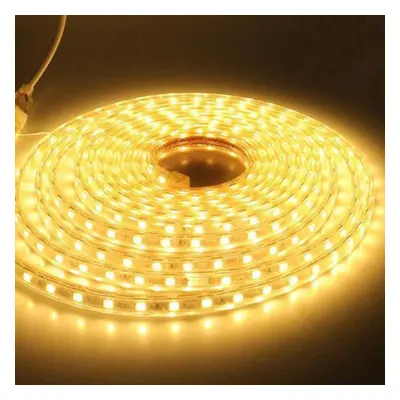 (warm white, 20M) Waterproof Smd Ac220v Led Strip Flexible Light 60leds/m Led Tape Led Lights Li