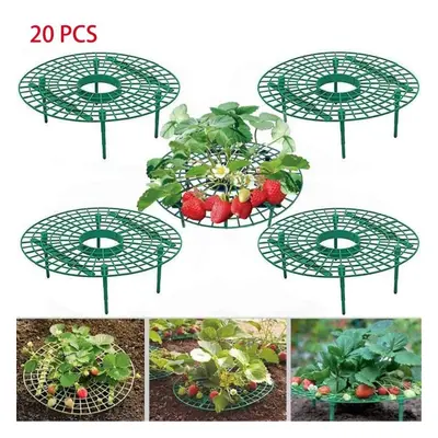 (as the picture, PCS) 5/10/20 Pcs Strawberry Plant Support Strawberry Growing Racks Strawberry S