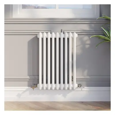 Traditional Colosseum Horizontal Double Bar Column Radiator 600x425mm White