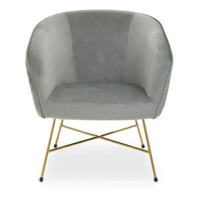 Grey Chair With Metal Frame, Comfy Grey Outdoor Velvet Chair Metal, Effortless Cleaning Velvet C