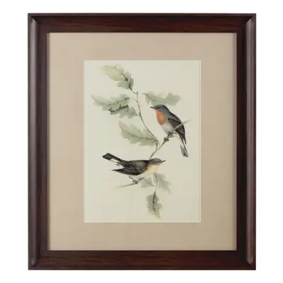 Premier Housewares Framed Birds Wall Art