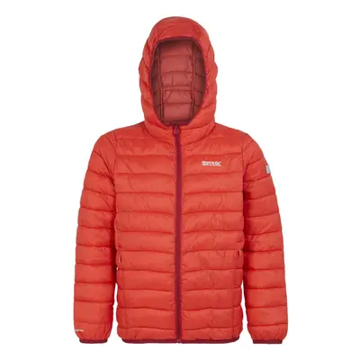 (11-12 Years, Red Sky/Mineral Red) Regatta Childrens/Kids Marizion Hooded Padded Jacket