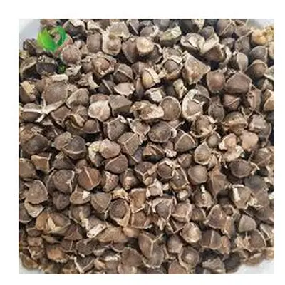 (2000 grams) Purelyagro Premium Non-GMO Moringa Seeds Miracle Tree Drumstick Oleifera