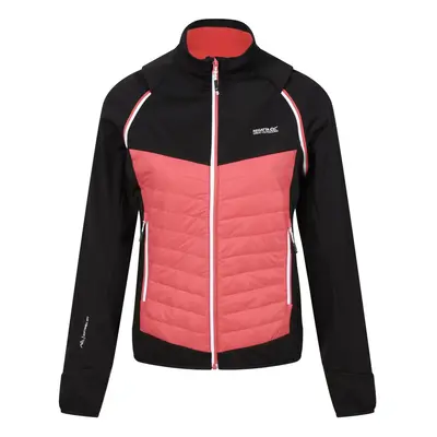 (10 UK, Black/Mineral Red) Regatta Womens/Ladies Steren Hybrid Jacket