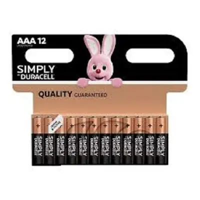 Duracell Plus Power Type AAA Alkaline Batteries, pack of