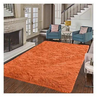 (160 cm x cm (5ft in x 7ft in)-Bedroom Carpets, Rust) Anti-Slip Super Soft Mat Living Room Bedro