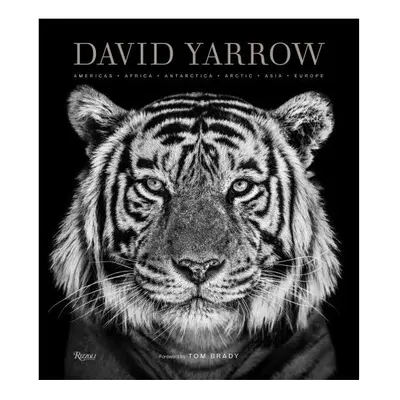 David Yarrow Photography