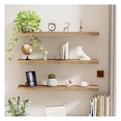 (60x20x2.5cm) Wood Floating Shelves Set of 3, Decorative Floating Shelf Length cm, Wall Display 