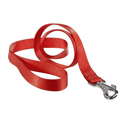 Club G25/120Â Nylon Lead for Dogs