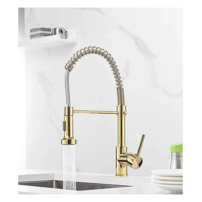 Kitchen Faucet Swivel Gold