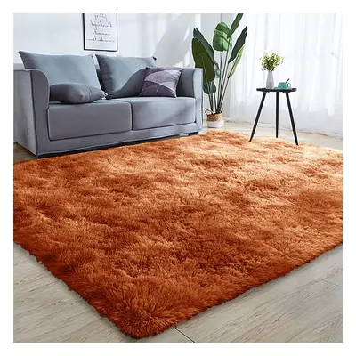 (80cm x cm (2 ft in x ft)) Fluffy Shaggy Rugs Living Room Runner Carpet Mat