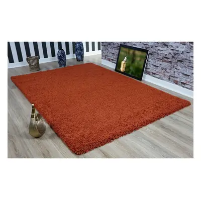 (Modern Terracotta Burnt Orange Small - Large Living Room Area Plain Shaggy Rug) Terracotta Burn