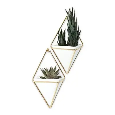 Umbra Trigg Hanging Planter Vase & Geometric Wall Decor Container - Great For Succulent Plants, 