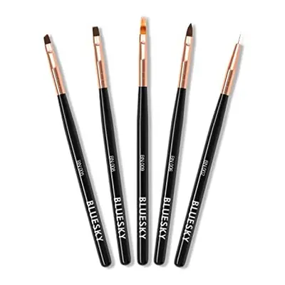 5pcs Nail Art Brushes Set, Professional Design Tools, Ombre, Liner, Fine Tip, Angled, Thin, Blac