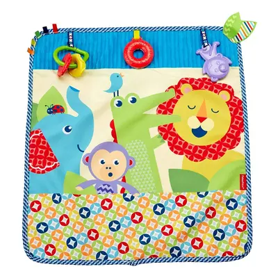 Fisher-Price On-the-Go Activity Throw