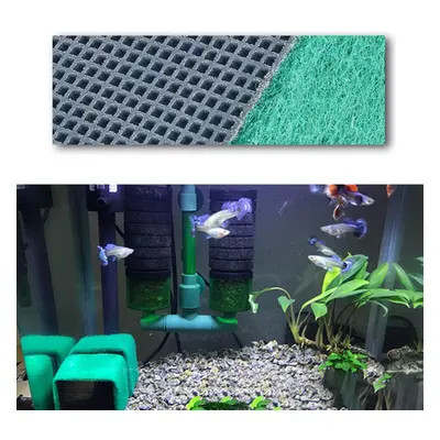 (10cm) Eco-Aquarium Water Purifiers Fish Tank Activated Carbon Filter Cubes