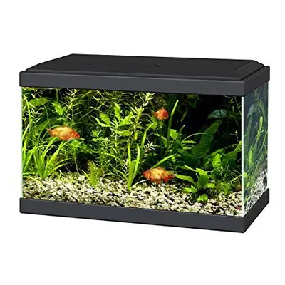 Ciano Aqua Aquarium with LED Lights & Filter BLACK