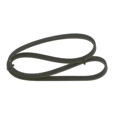 30_1987946208 Poly Rib Belt